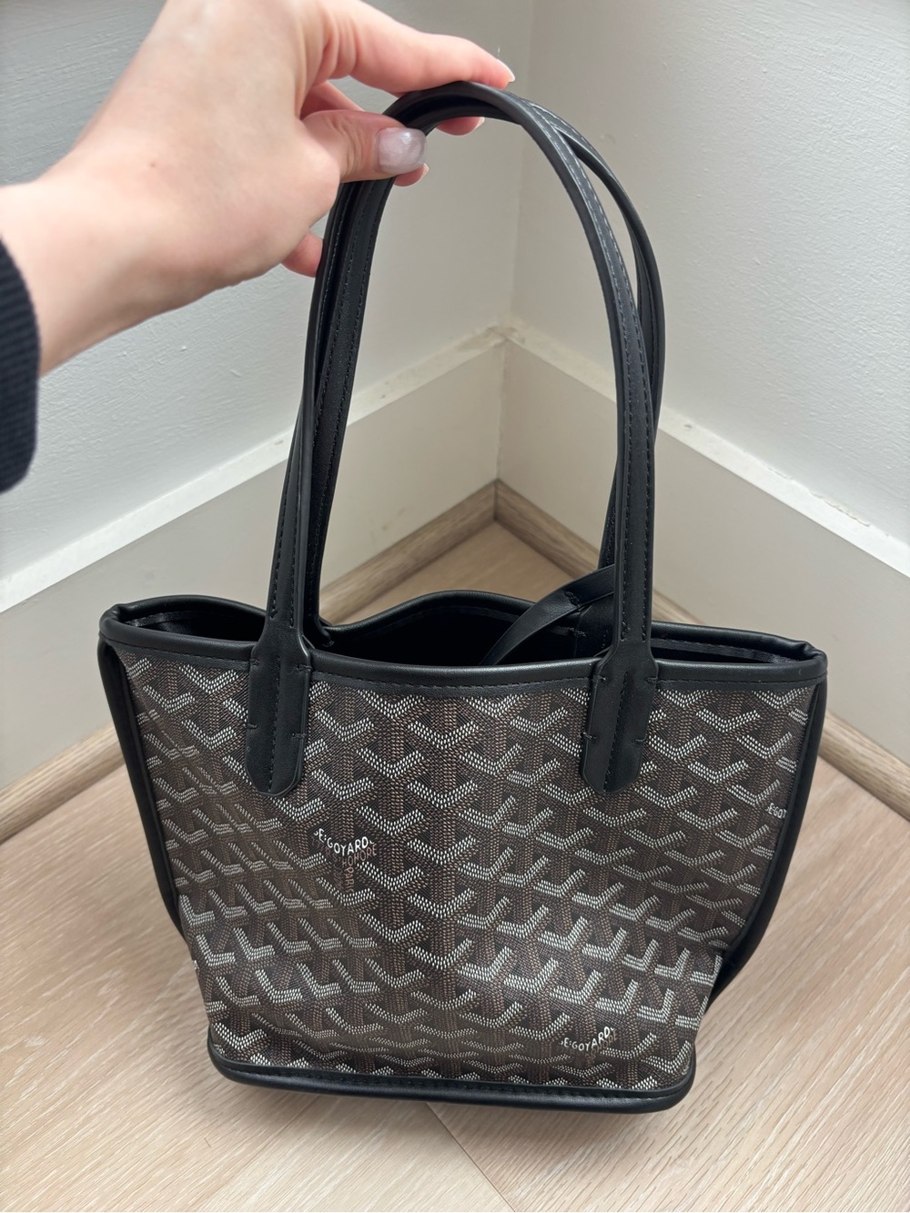 Designer mini Saint Louis Tote Bag